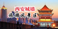殴美男人压女人BB囗片中国陕西-西安城墙旅游风景区
